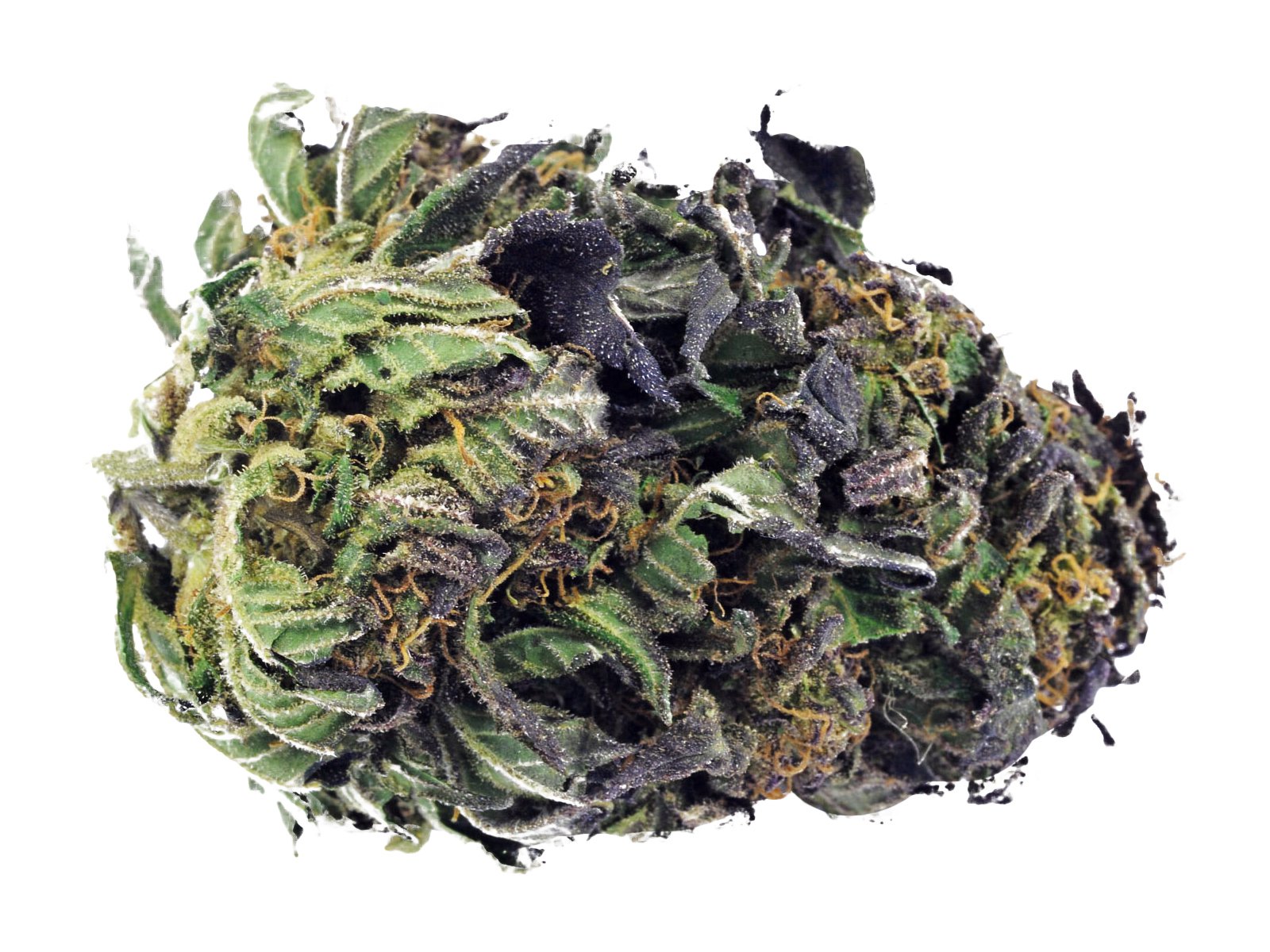 Blue Amnesia